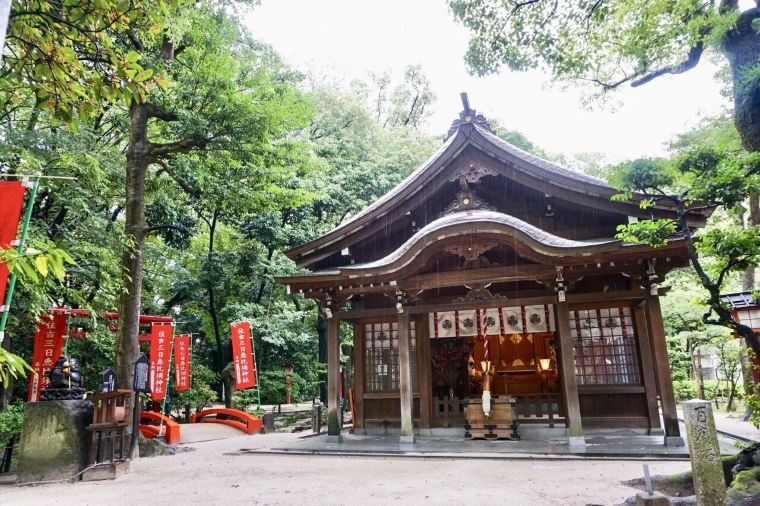 [2026] Spring Awakening: Discovering the Weather in Japan in March and Blossoming Delights | Trip.com