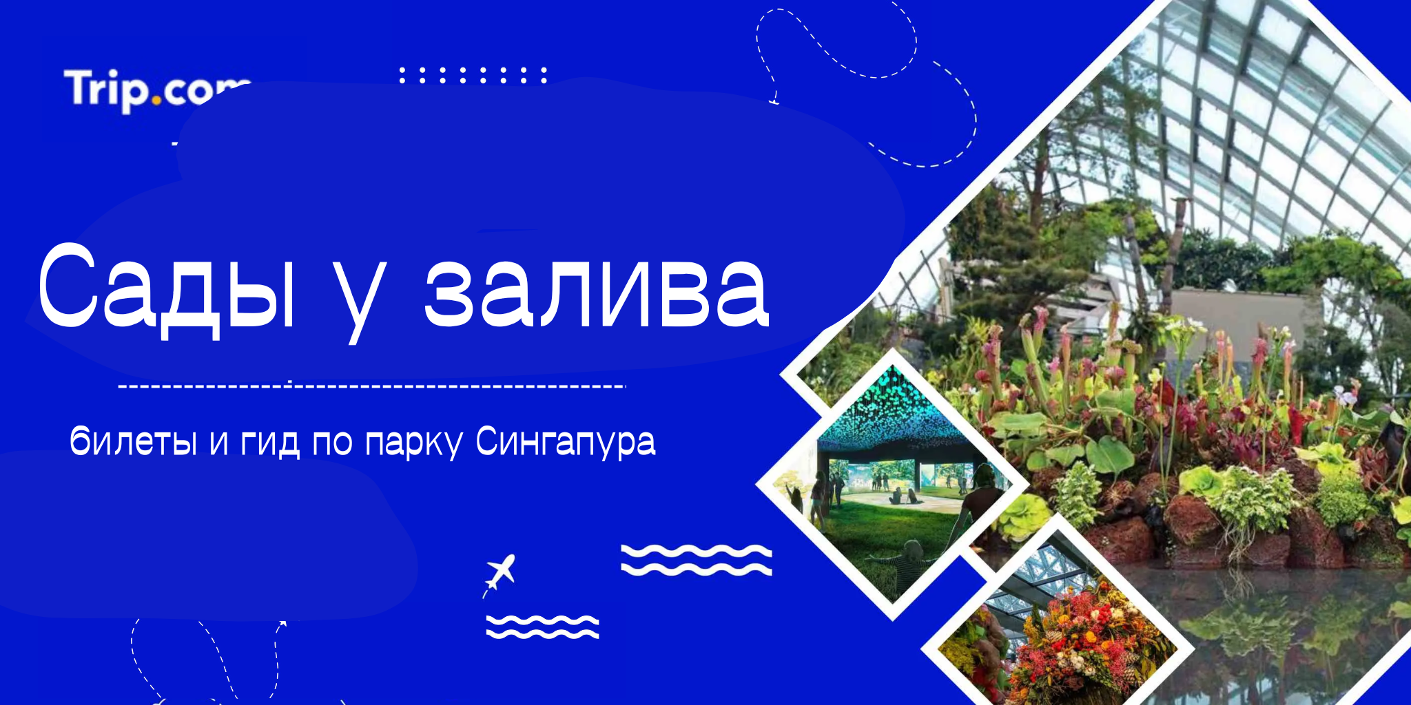 Сады у залива 2026: билеты и гид по парку Сингапура | Trip.com