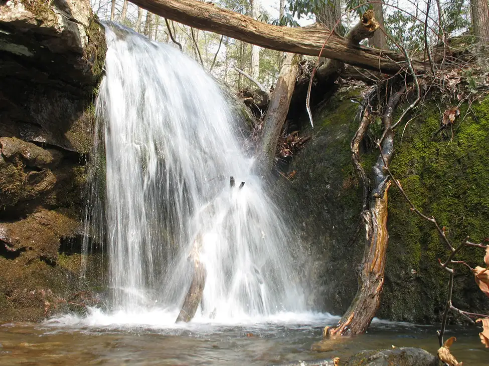 Dunnfield Creek Falls