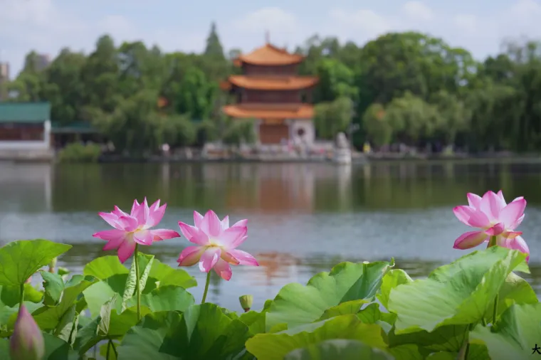 昆明氣溫 - 大觀公園