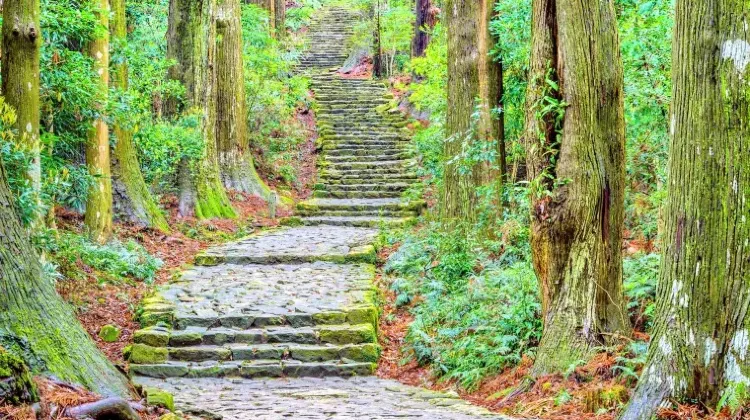 お土産選びで和歌山旅行はもっと楽しくなる！