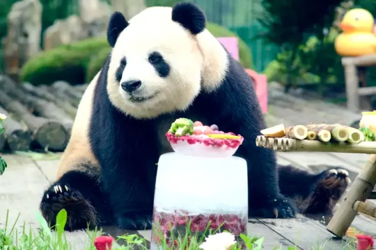 大連旅行ならカスタマーサポートのあるTrip.comが安心