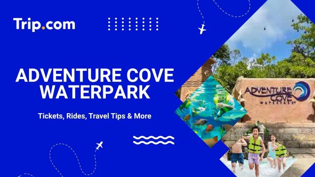 Adventure Cove Waterpark: Tickets, Top Rides & Travel Tips | Trip.com