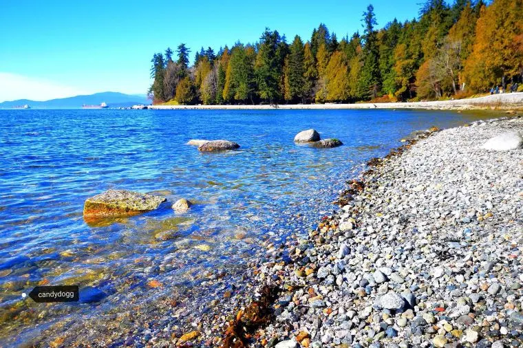 カナダ・バンクーバーの6月の気温や最適な服装