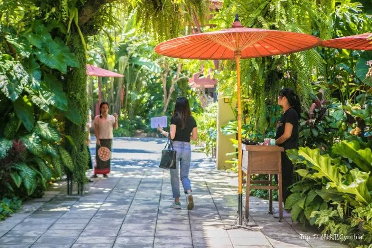 タイ・バンコクの7月の気温や最適な服装