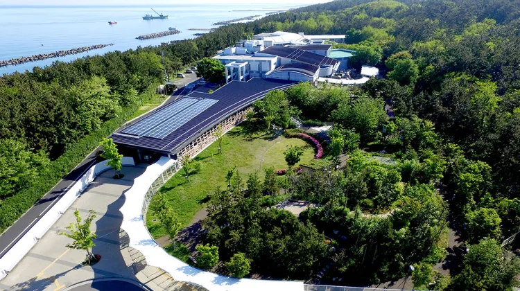 新潟市水族館 マリンピア日本海