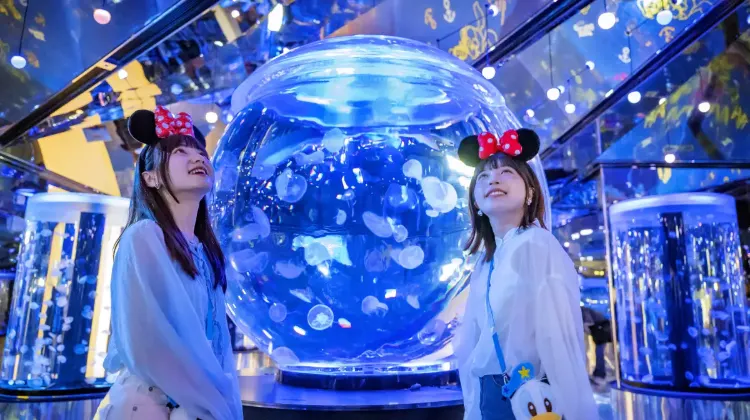Xpark 水族館展區