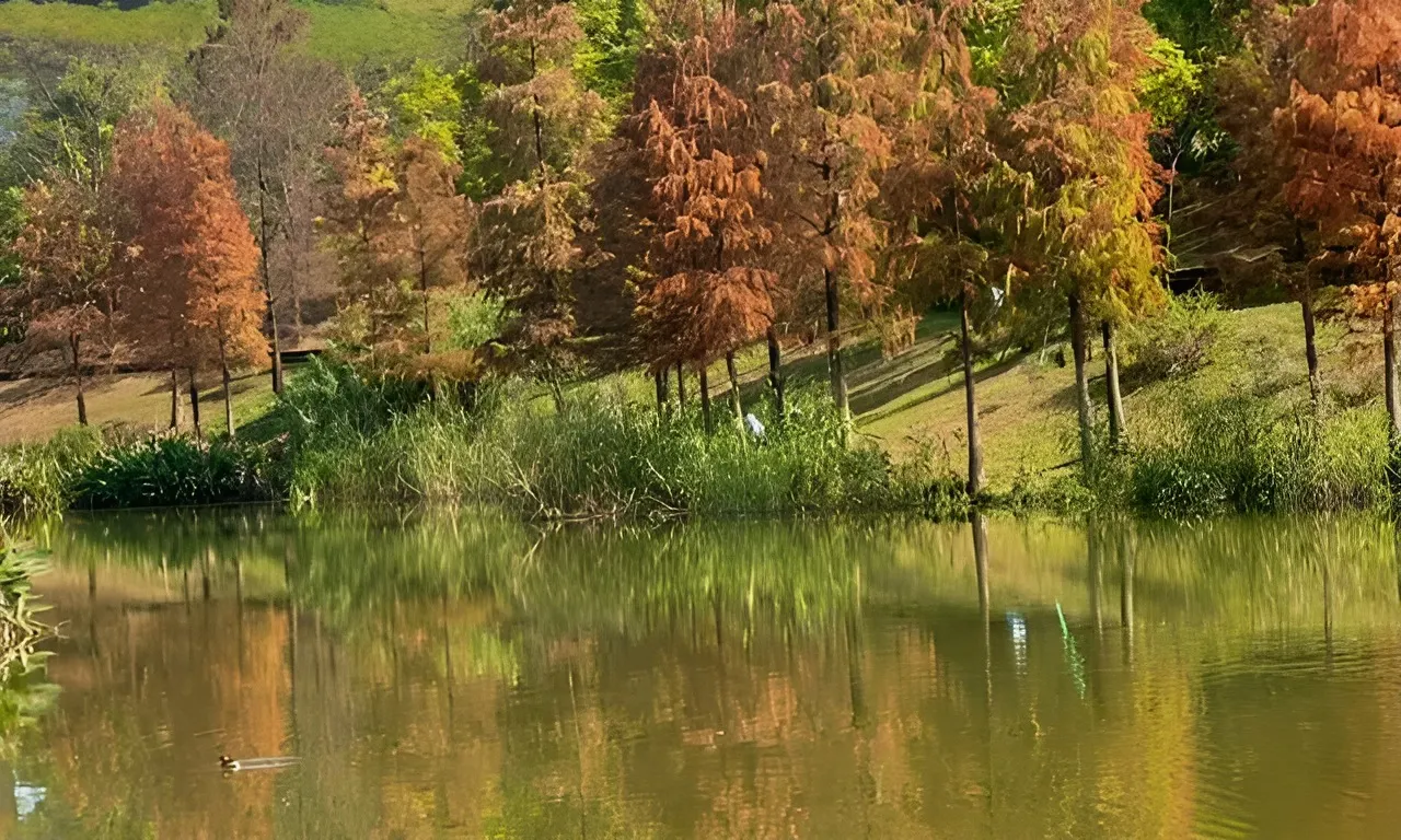 Guangzhou weather in Autumn