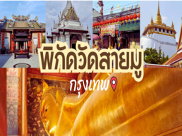 รวมพิกัดวัดและศาลเจ้าศักดิ์สิทธิ์ในกรุงเทพสำหรับสายมู บอกหมดแบบไม่มีกั๊ก เสริมดวงความรัก การงาน การเงิน สุขภาพ หรือจะเป็นวัดแก้ชงก็มีนะ ครบจบในที่เดียว