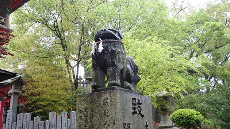 熊本旅行はひとり旅こそおもしろい!