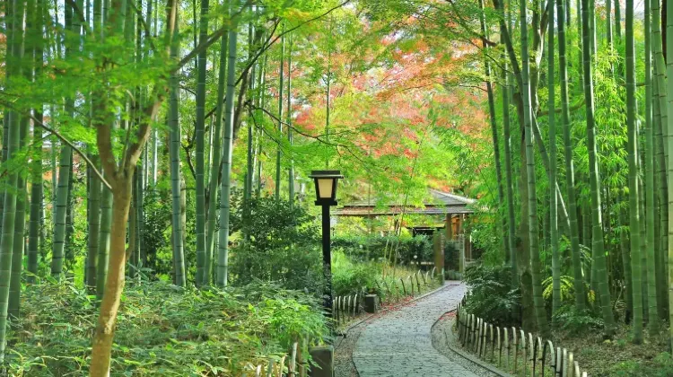 伊豆旅行で心温まるお土産を見つけよう！