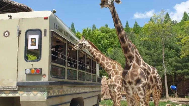 Everland attractions: Lost Valley