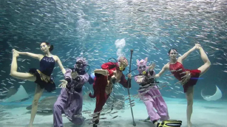 COEXアクアリウム