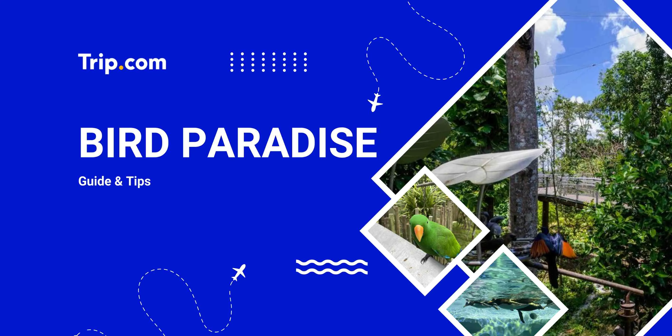 Bird Paradise Tickets