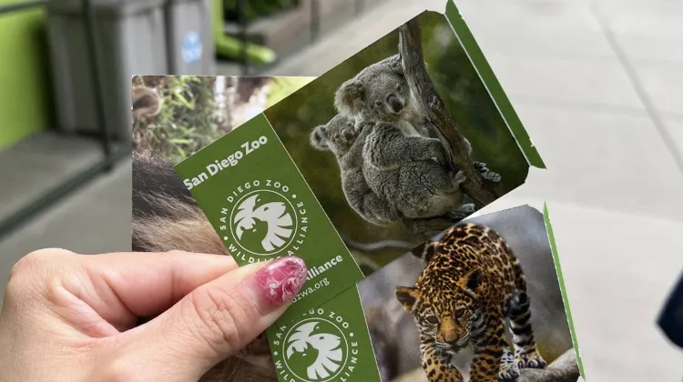 How Much is the San Diego Zoo Tickets?
