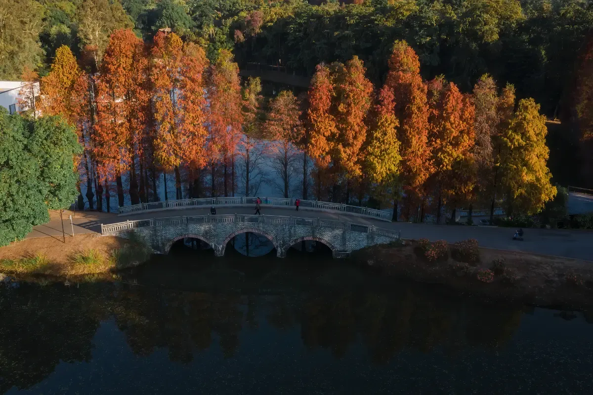 South China Botanical Garden
