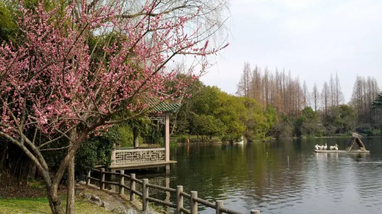 Things to Do at Shanghai Zoo