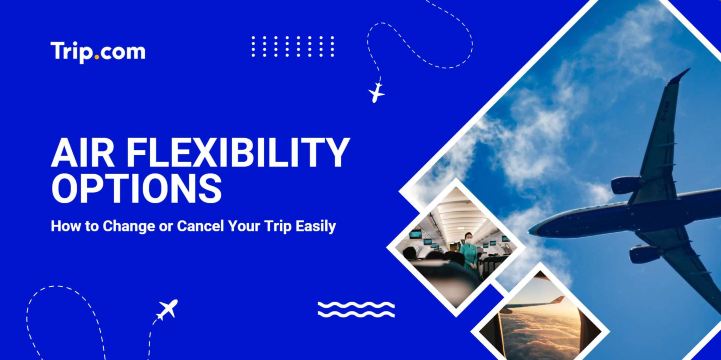 Air Flexibility: Book Cheap & Flexible Flights | Trip.com 