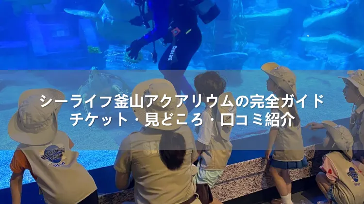 シーライフ釜山アクアリウムの完全ガイド！チケット・見どころ・口コミ紹介