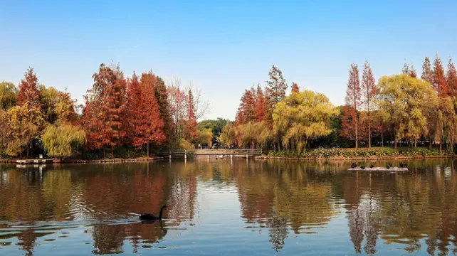 中国・上海の10月の気温や最適な服装