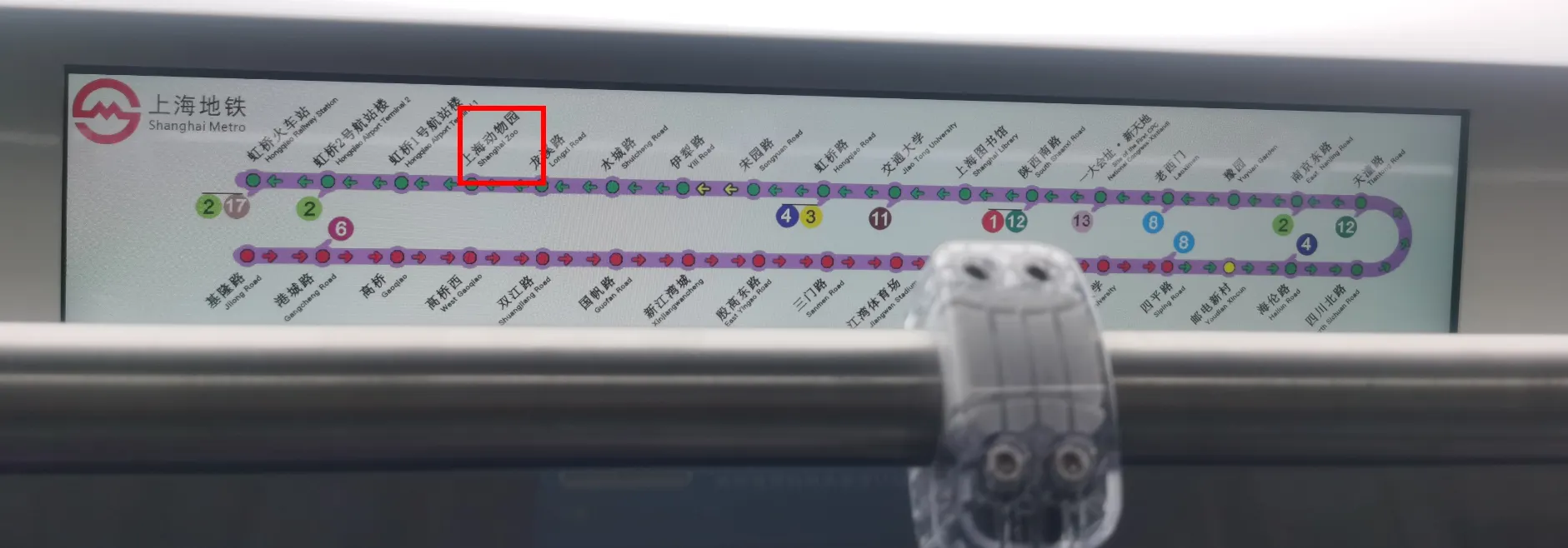 How to Get to Shanghai Zoo