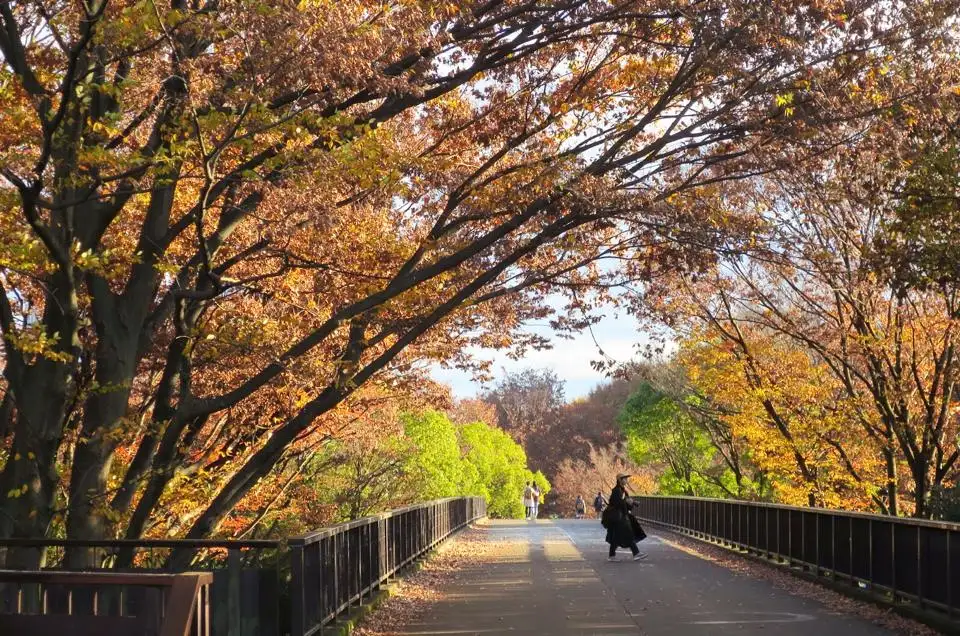 代代木公園