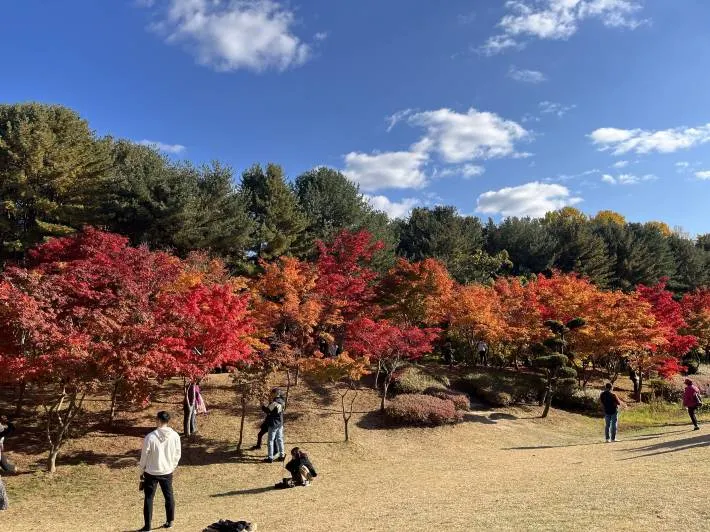 Four Seasons Of Nami Island Autumn