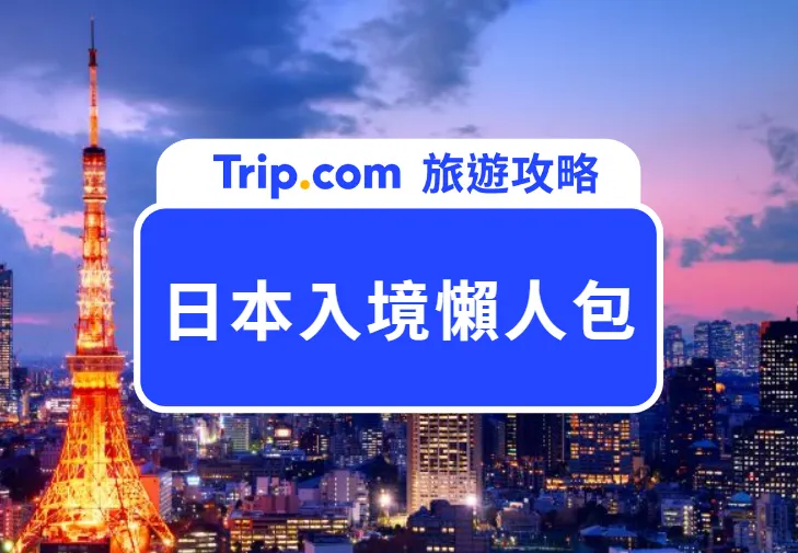 超希少 ANA社員使用 HELLO BLUE HELLO FUTURE ピンバッジ