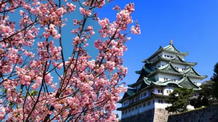 名古屋景點推介【2】名古屋城