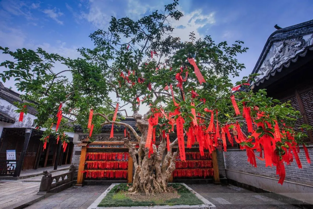 中山好去處景點 中山詹園