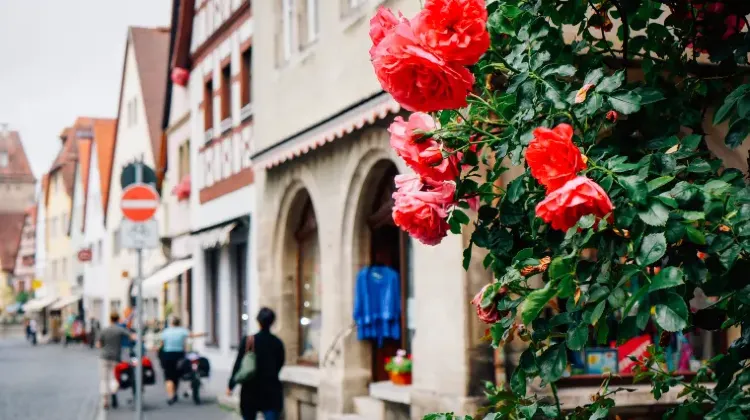 ドイツ旅行でWi-Fiレンタルを選ぶ際に活用したいコツ3つ