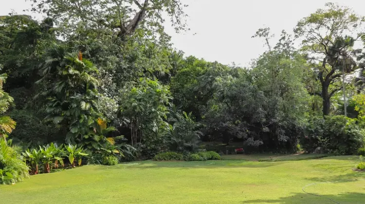 パプアニューギニアの防犯対策でおすすめのアイテム3選