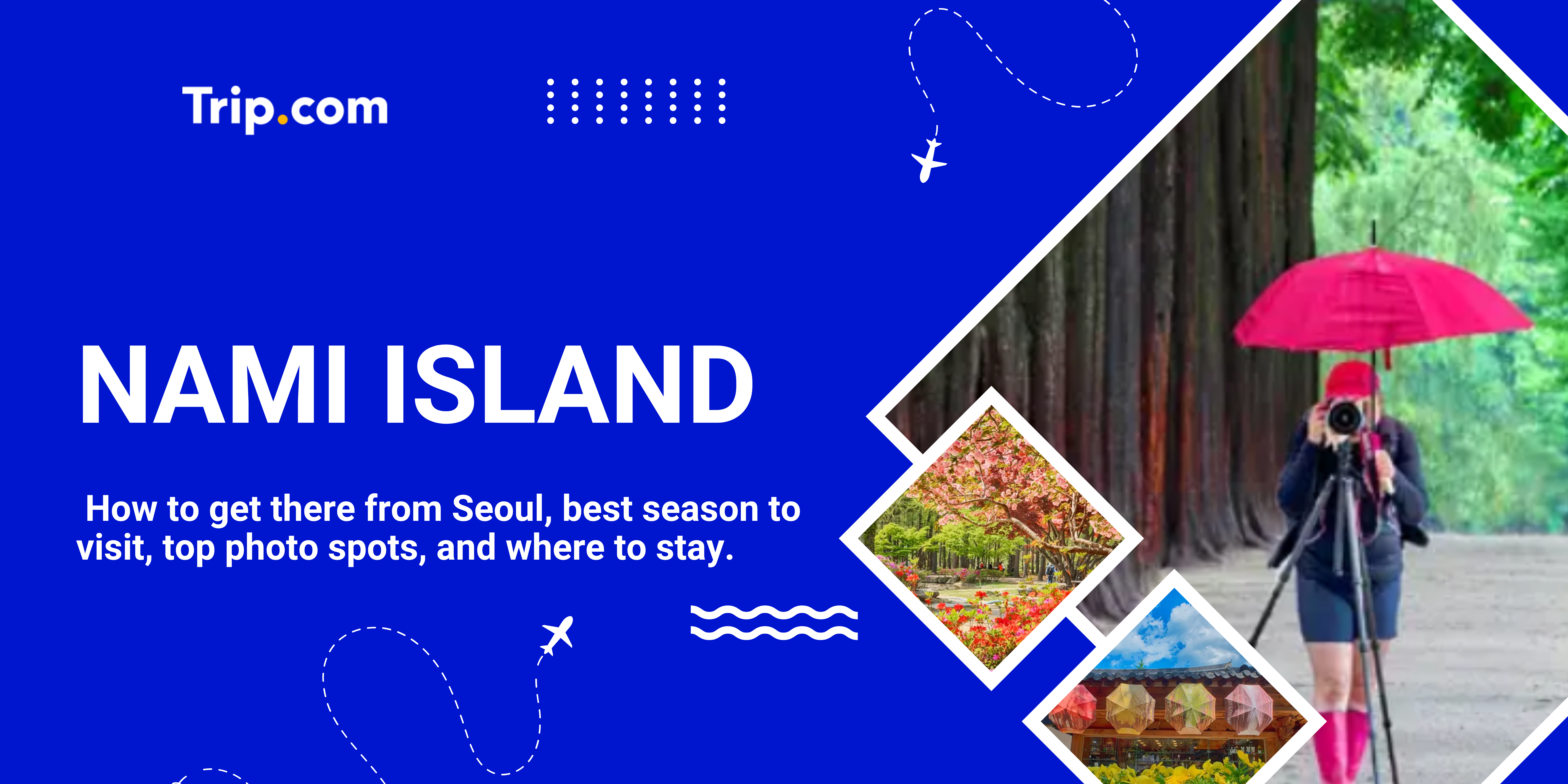 Nami Island Guide 2026: Tickets, Transport, and What to See | Trip.com