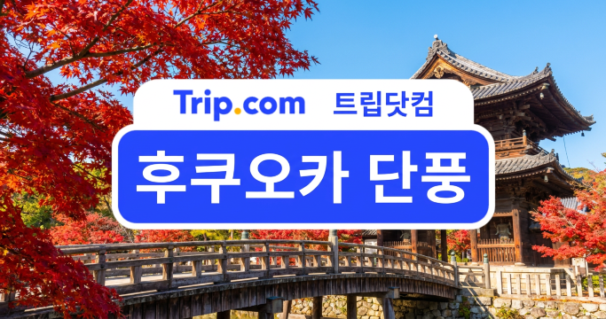 2026 후쿠오카 단풍 시기부터 가볼만한 곳 BEST 7 | 트립닷컴