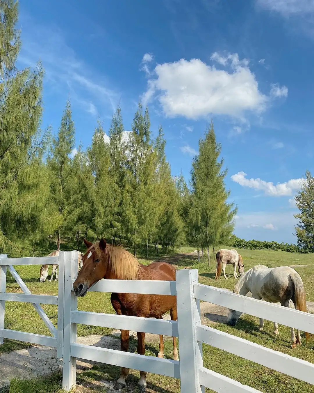 bài viết du lịch trip.com - pano villa ratchaburi thái lan