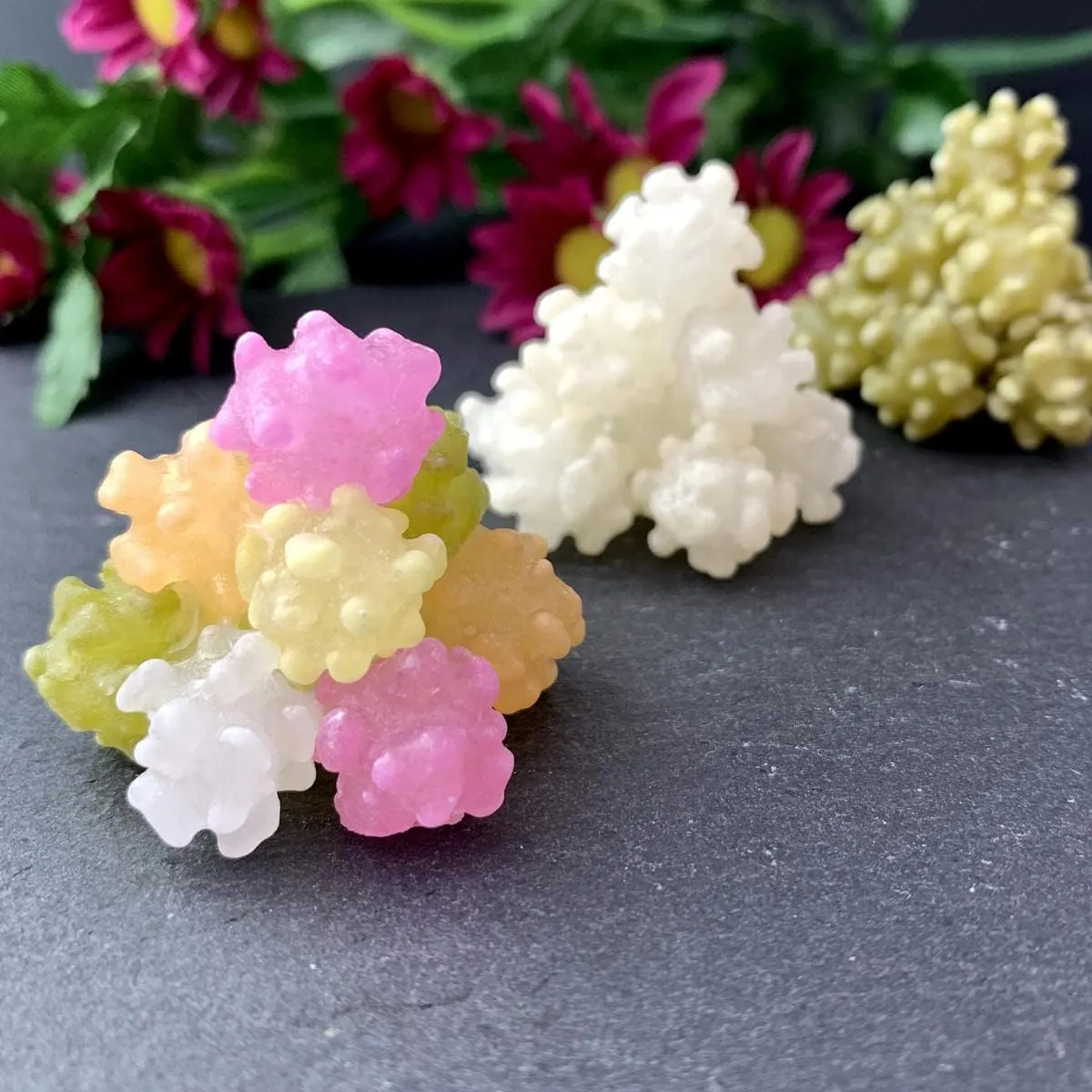 砂糖傳増尾商店「奈良こんふぇいと」