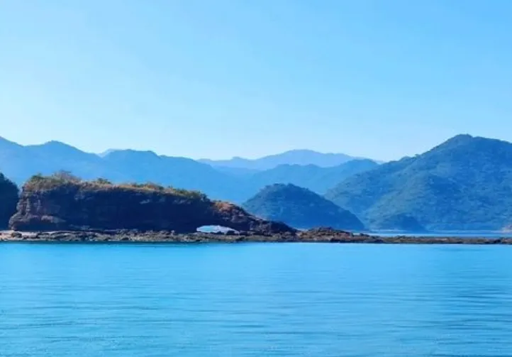 鴨頸