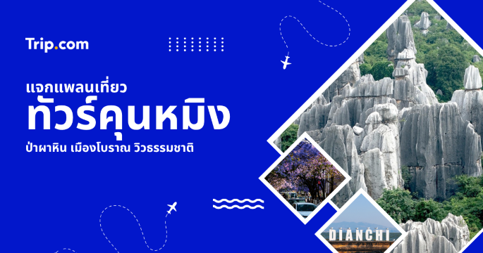 รวม 5 ทัวร์คุนหมิง 2569 แนะนำทัวร์และวิธีเตรียมตัวสำหรับเที่ยวจีนมือใหม่ | Trip.com