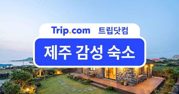 제주 감성 숙소 추천: 오션뷰·독채·온수풀까지 힐링 스테이 | 트립닷컴