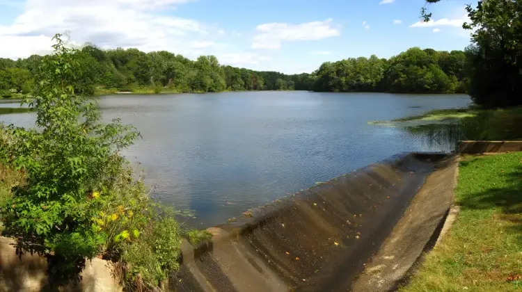 7. グリーンベルトパーク