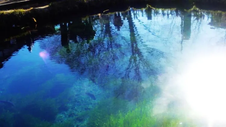 山梨のお土産選びでよくある質問