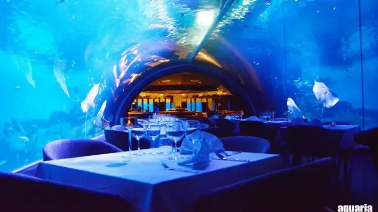 อควาเรีย ภูเก็ต Aquaria Phuket