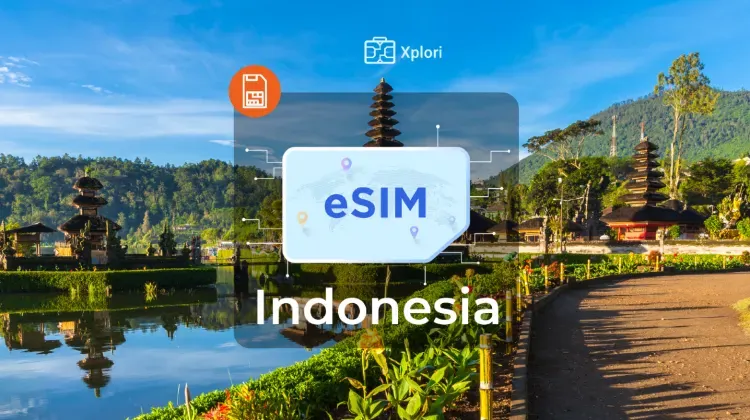 Bagaimana cara menggunakan eSIM Indonesia?
