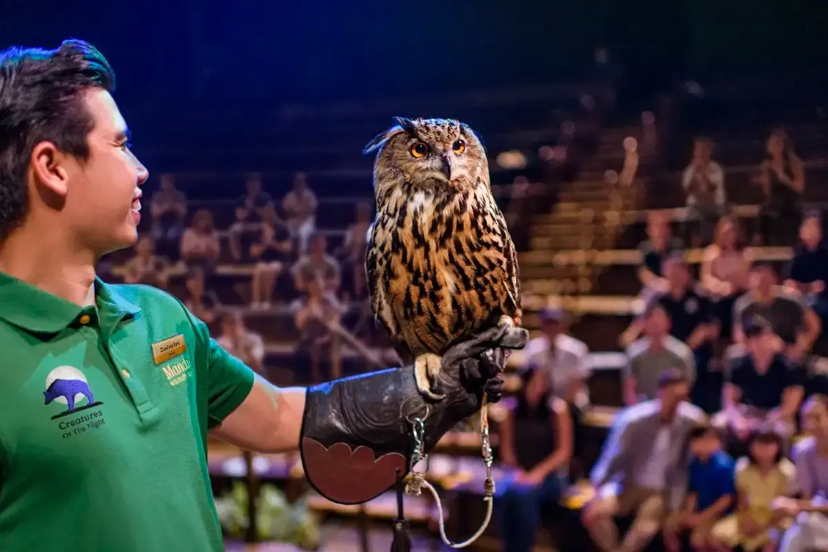 ナイトサファリの見どころ