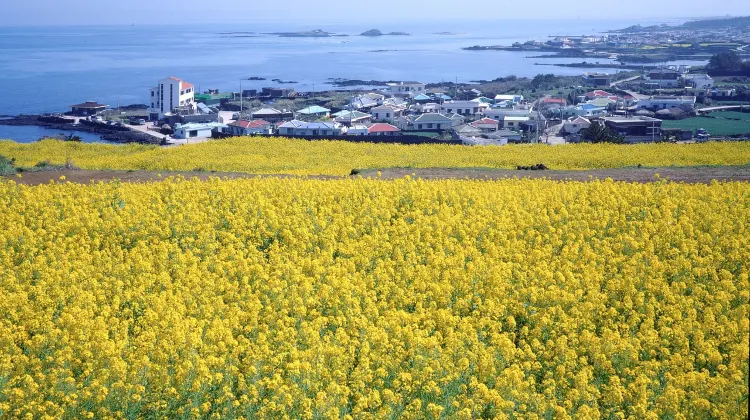 済州島旅行で知っておきたいマナー