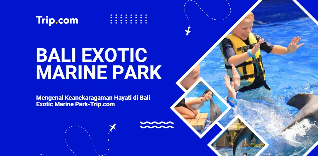 Beli Tiket Bali Exotic Marine Park-Trip.com