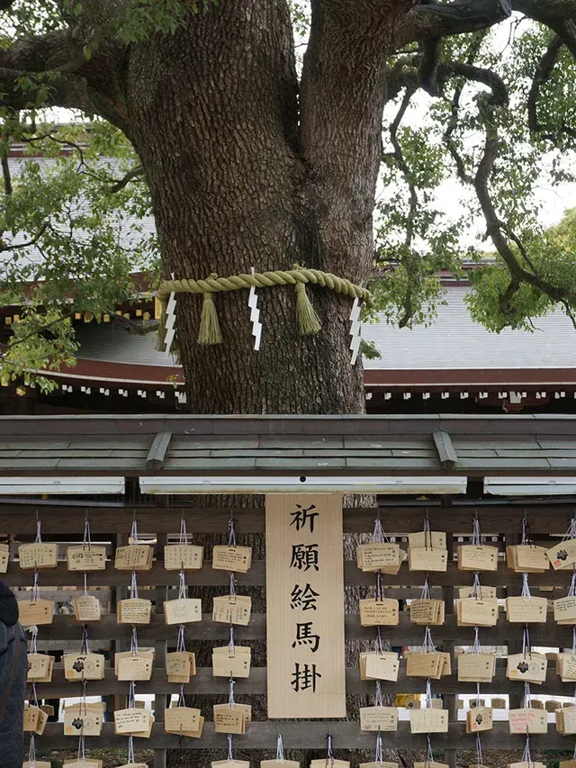 明治神宮御守/福守