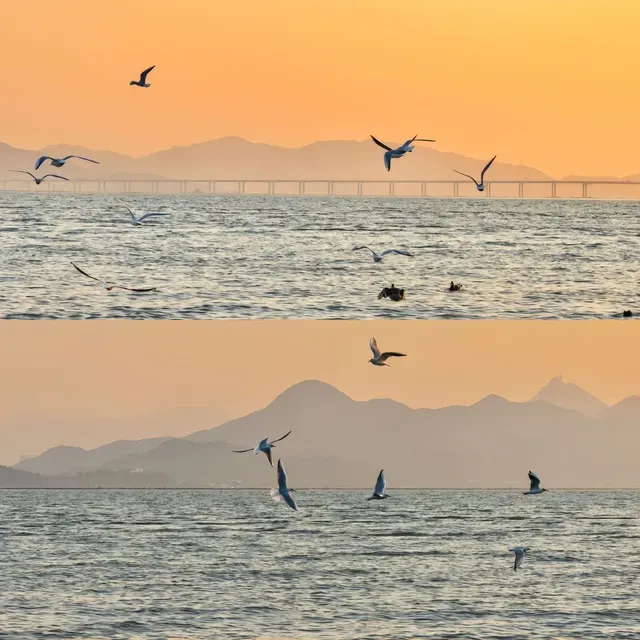 深圳親子樂園 | 深圳灣公園