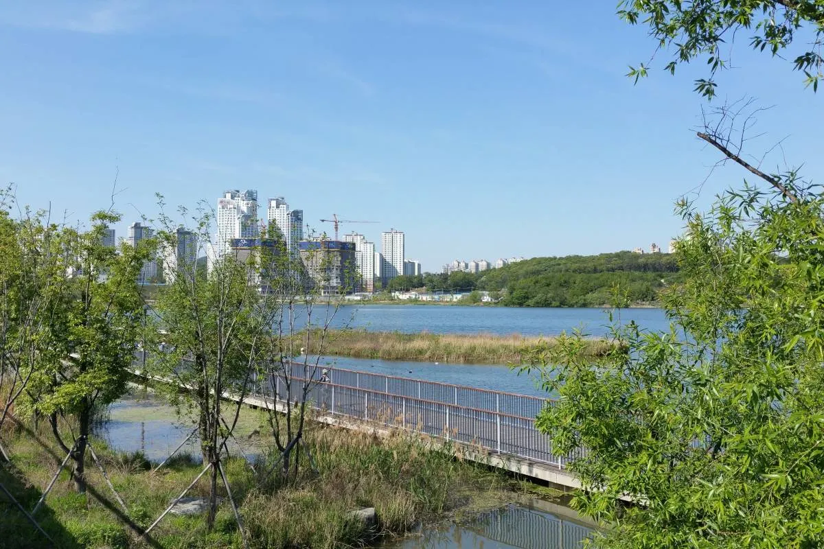 สวนสาธารณะกวังกโย