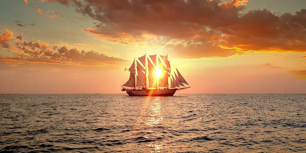 Royal Albatross opening hours